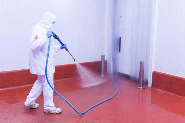 Best Driveway Pressure Washing  in Mccoll, SC